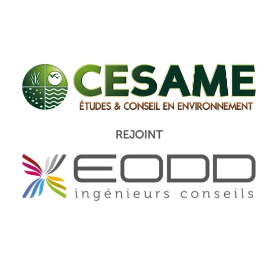 Montage photo des logos de Cesame et EODD