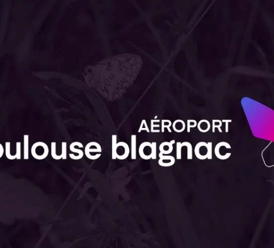 Aeroport blagnac