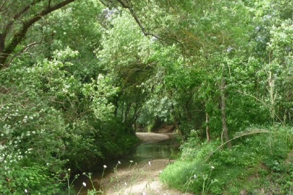 Terrain du Golfe de Saint-Tropez