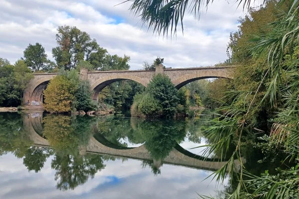 HEADER - PONT