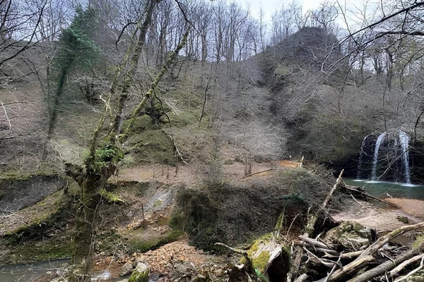 Cascade en forêt avec un ruisseau et des morceaux de bois au premier plan