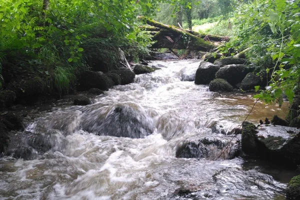 Bassin versant de la Dore