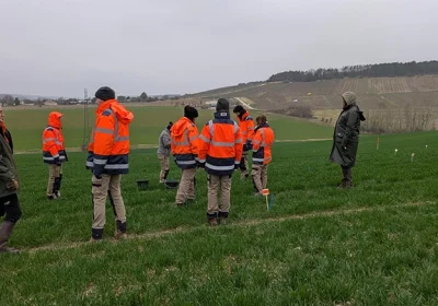 photo de terrain