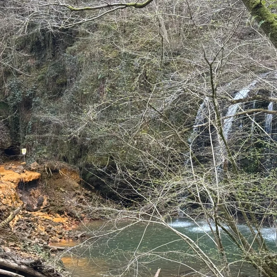 Cascade en forêt avec un ruisseau et des rochers ocre au premier plan