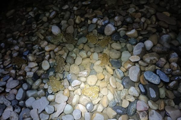 IMG20220427214235-1100x825