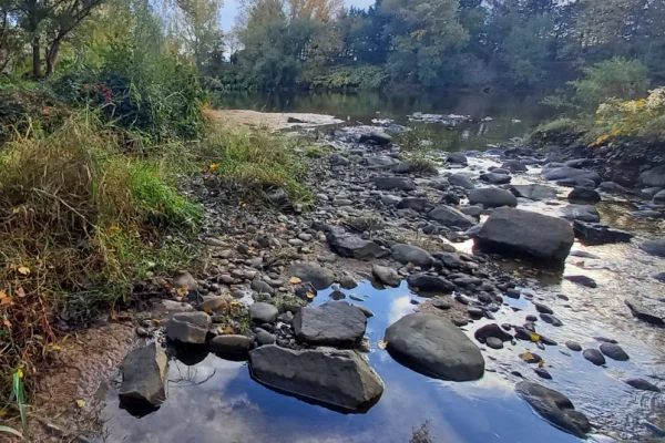 Photo du terrain à Montbrison
