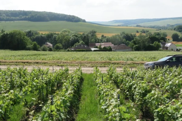 Projet national pour la mesure et la surveillance de la biodiversité des sols