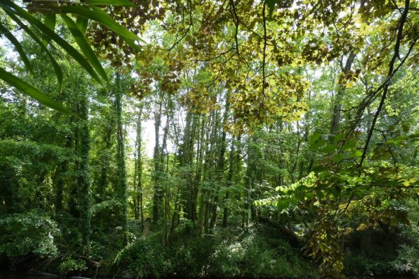 Rennes-ambiance-1100x825-1100x825