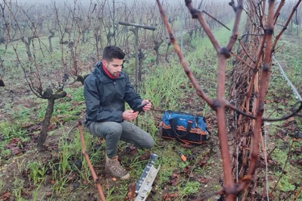 Sciences du sol SCoT