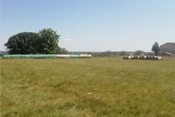 Zones humides sur un terrain avec des panneaux photovoltaïques
